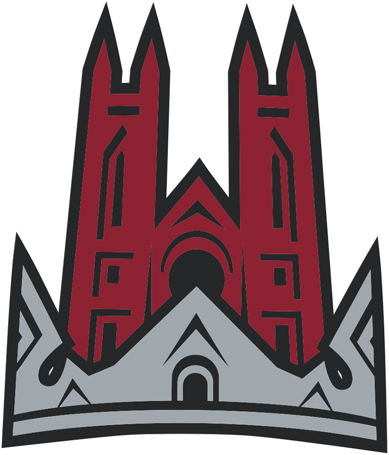 Guelph Storm 2007-2018 Alternate Logo iron on transfers for clothing
